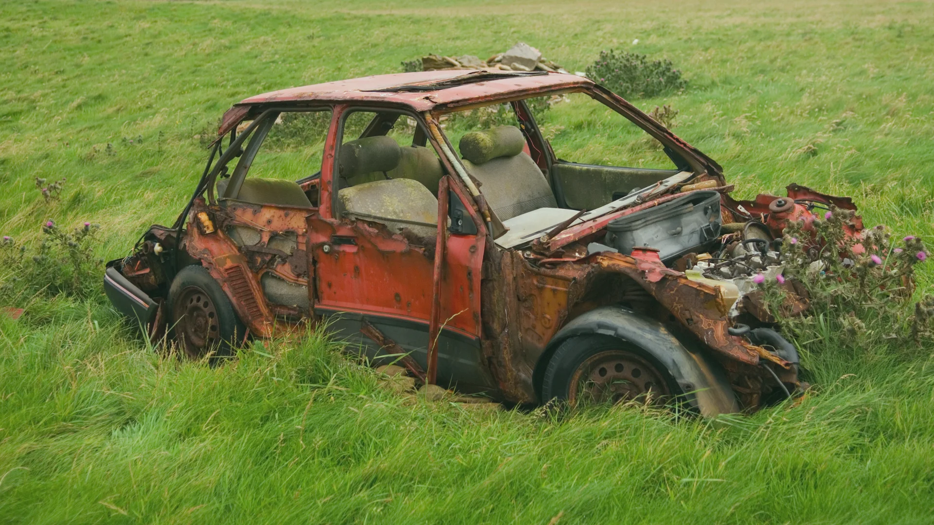 Super voiture, belle occasion !